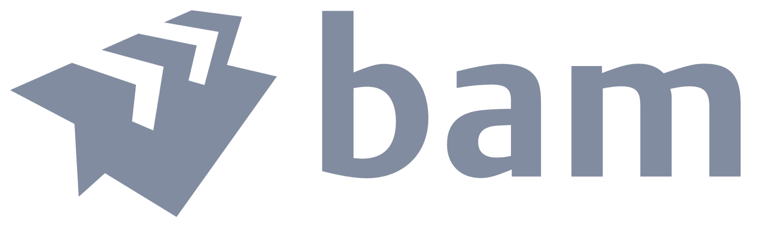 BAM Aphex Logo